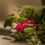 Millinger لوفر