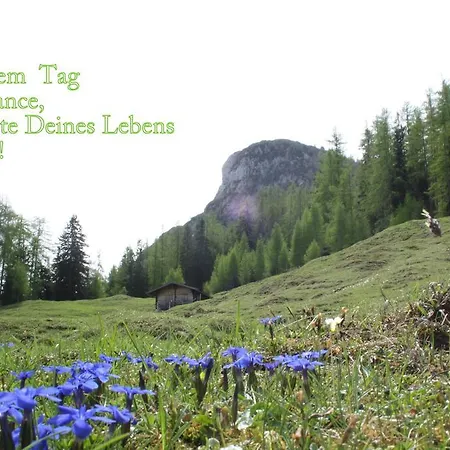 Appartement Millinger Lofer