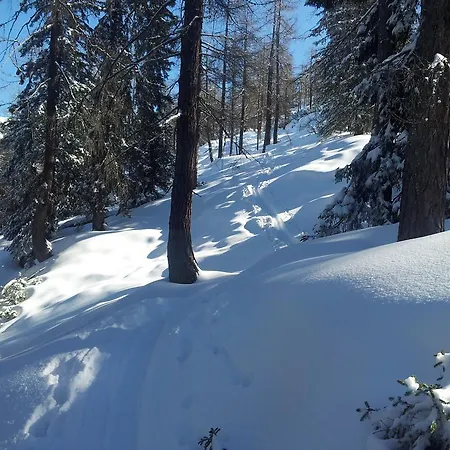 Apartament Millinger Lofer