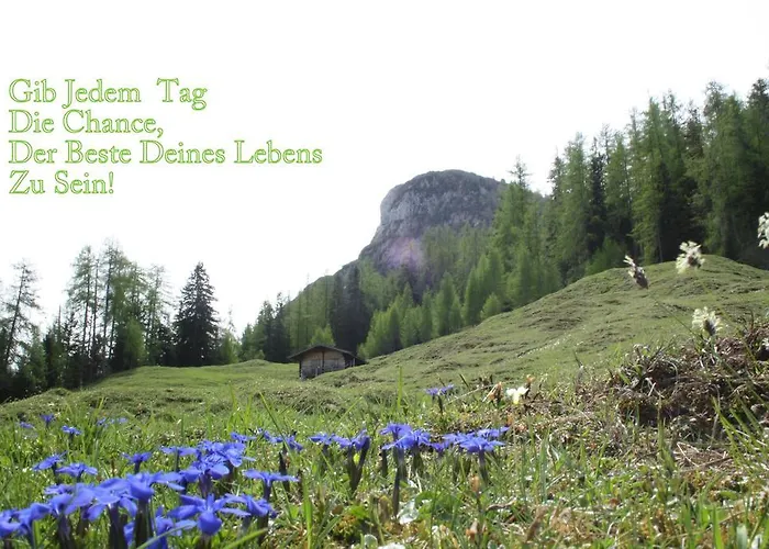 Διαμέρισμα Millinger Lofer